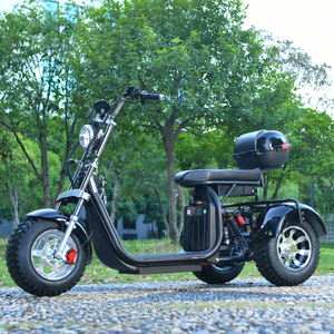 Off Road 3 ruedas Fat Tire Scooter Trike 2000W Motor 45KM/H CA EE. UU. STOCK