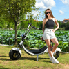 Vespa eléctrica común 1500w 48v 20ah del neumático del neumático de los E.E.U.U. con el asiento grande sin logotipo